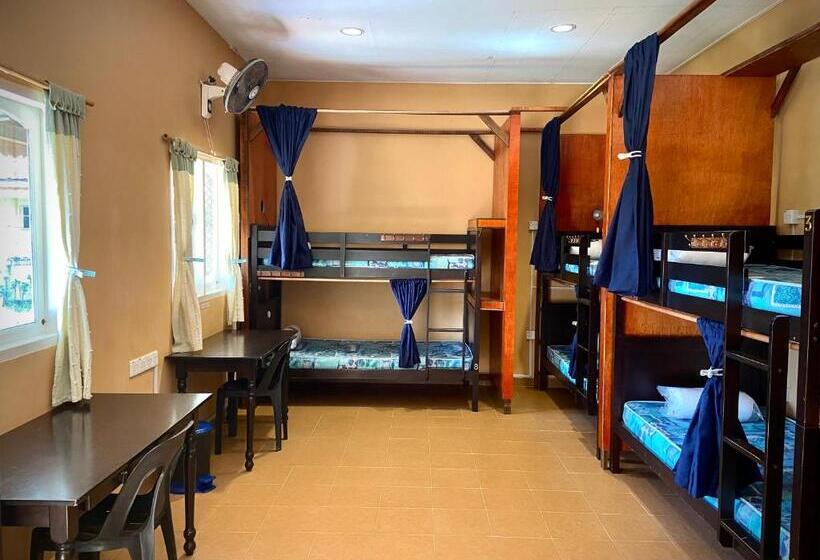 ペンション Soluna Guest House