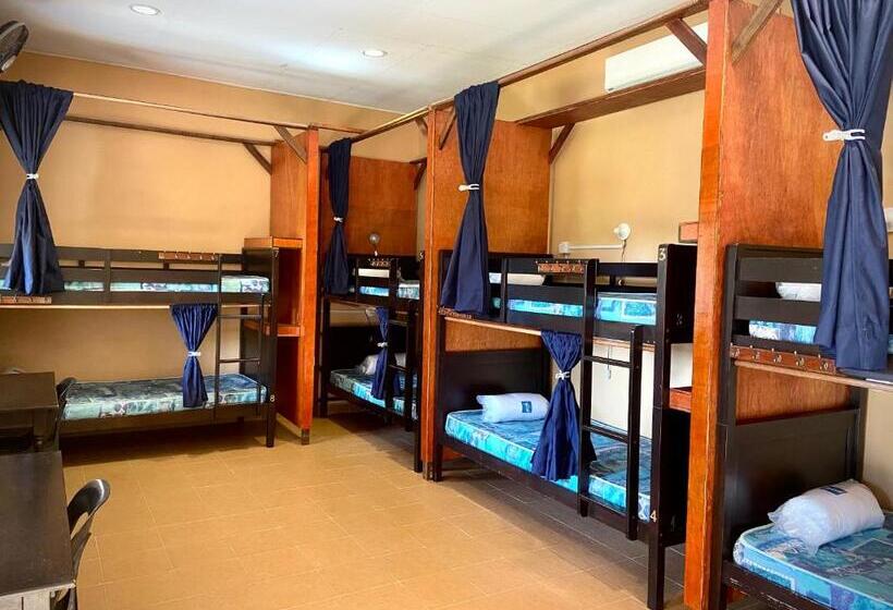 ペンション Soluna Guest House