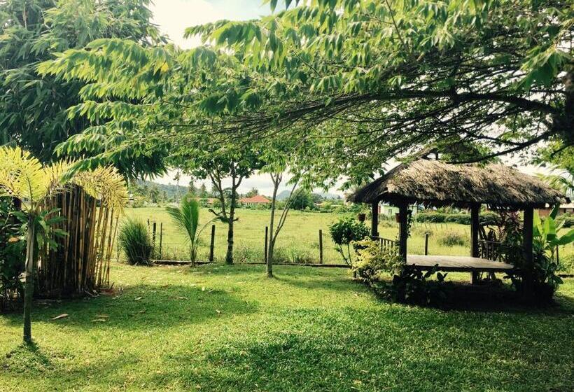 بنسيون Soluna Guest House