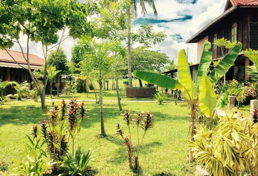 بنسيون Soluna Guest House