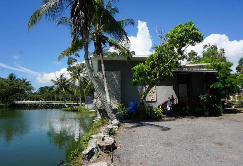 بنسيون The Leaf Homestay