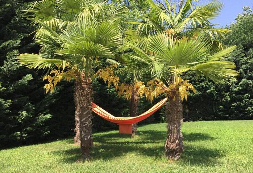 פנסיון Villa Althea