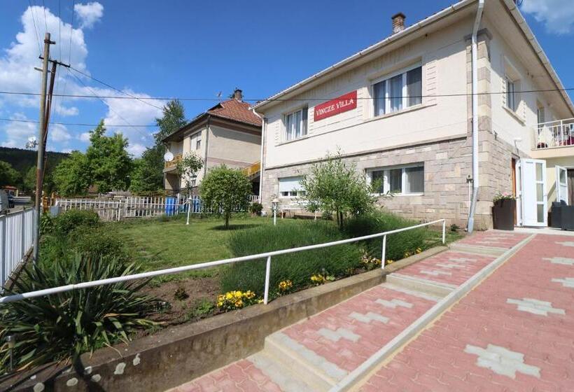 פנסיון Vincze Villa Vendégház