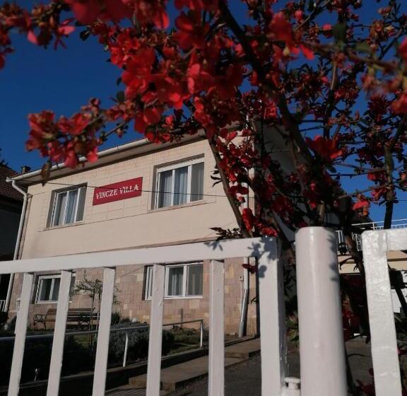 פנסיון Vincze Villa Vendégház
