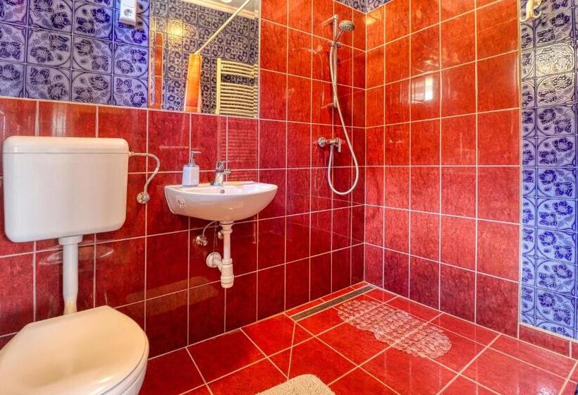 פנסיון Vincze Villa Vendégház