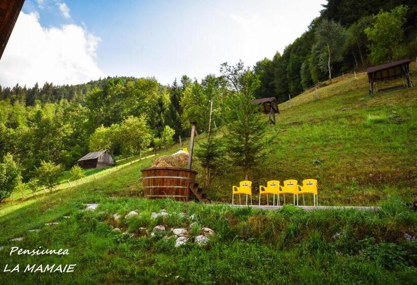 Pensiunea La Mamaie