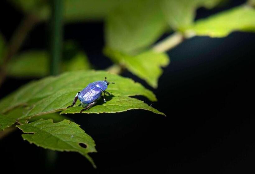 リゾートホテル Domaine Du Roc Nantais