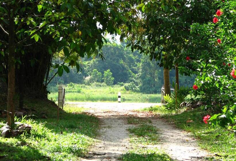 渡假胜地  Lake View Bungalows