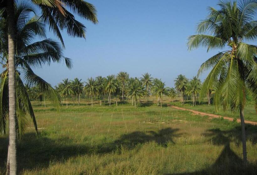 渡假胜地  Lake View Bungalows