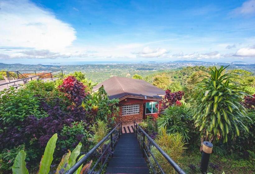 Sinurambi Bed & Breakfast   Mills Residence