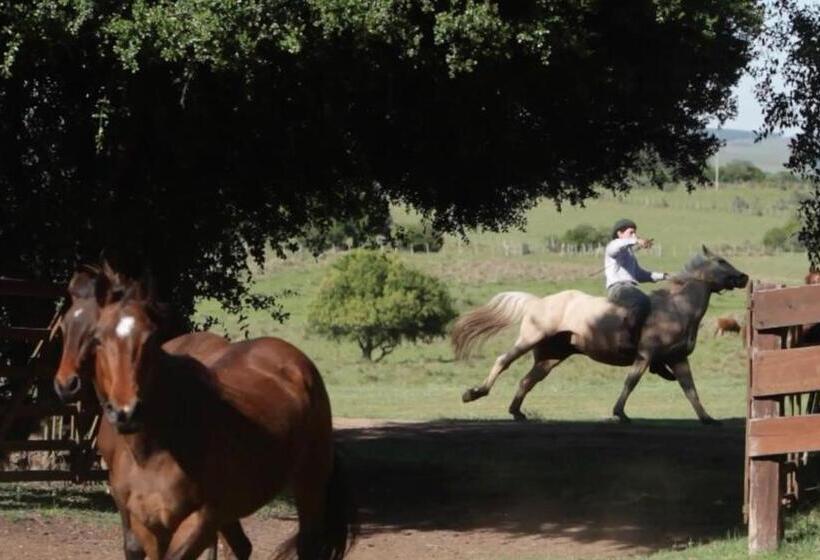 هاستل El Balcón Del Abra