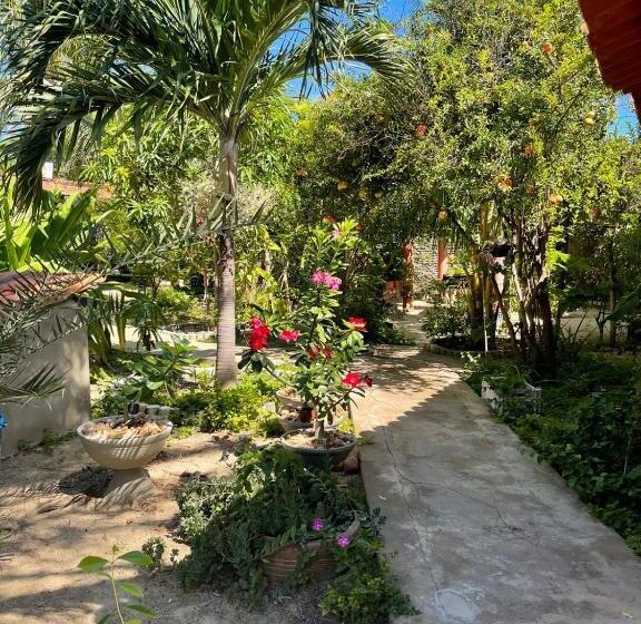 ユースホステル Pousada Maré