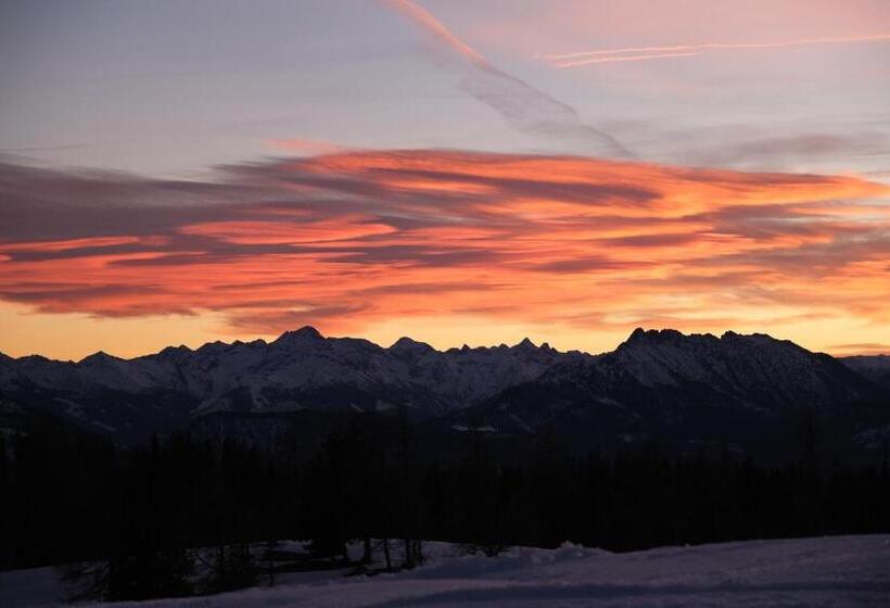 Alpenhotel Steirerhof