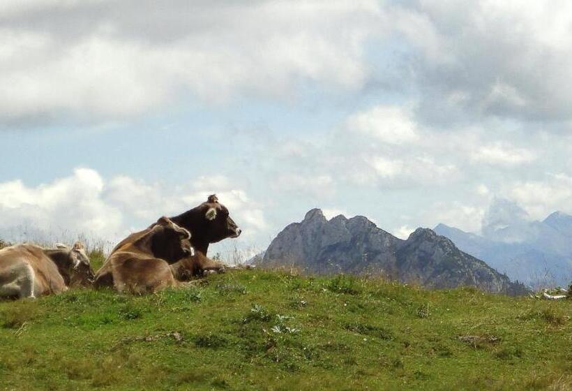 Alpenhotel Steirerhof