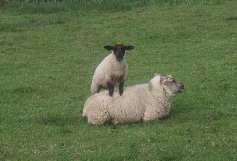 Beach View Bed & Breakfast