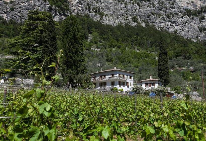 مبيت وإفطار Agriturismo Maso Lizzone