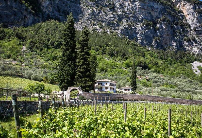 مبيت وإفطار Agriturismo Maso Lizzone