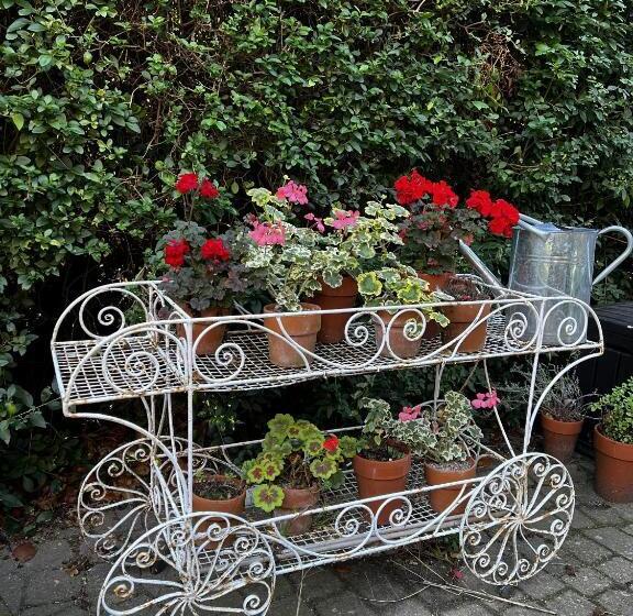 민박 Carrington House