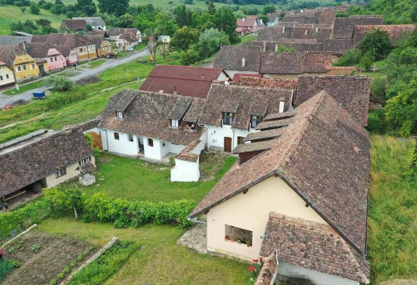 مبيت وإفطار Convivium Transilvania