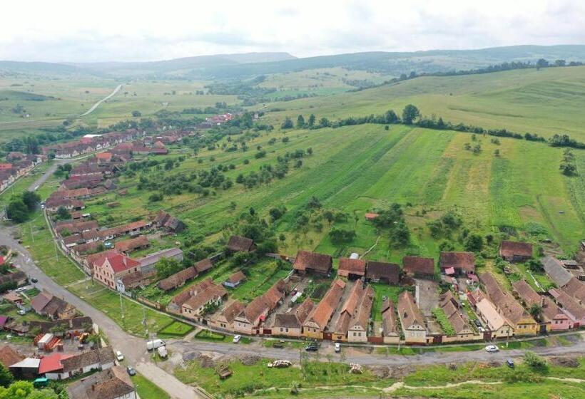 مبيت وإفطار Convivium Transilvania