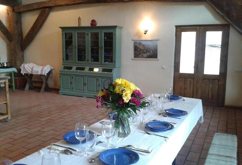 مبيت وإفطار Convivium Transilvania