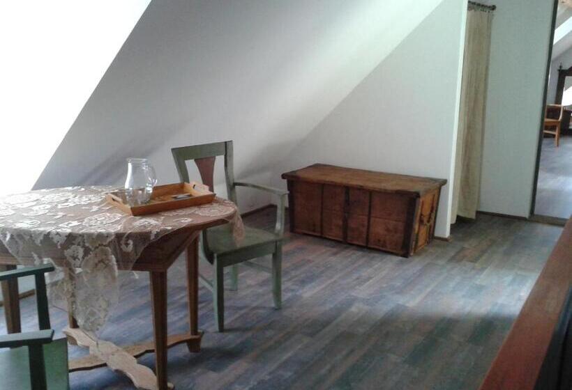 مبيت وإفطار Convivium Transilvania