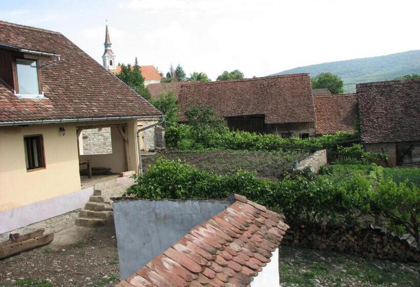 مبيت وإفطار Convivium Transilvania