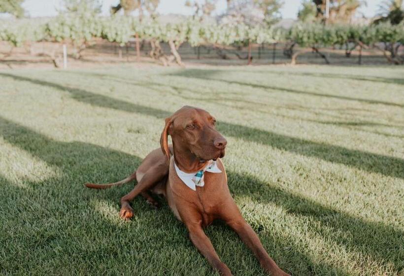 ベッドアンドブレックファースト Pirathon Country Estate