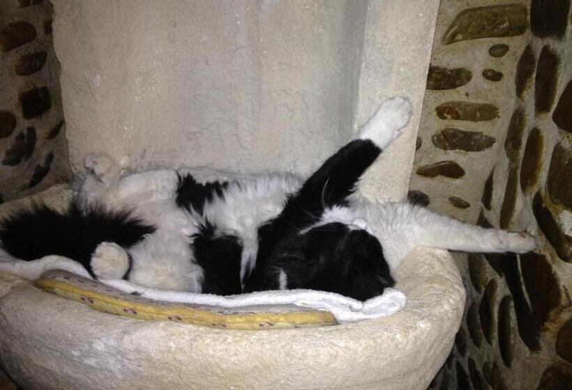 צימר Le Mas Des Armouriers