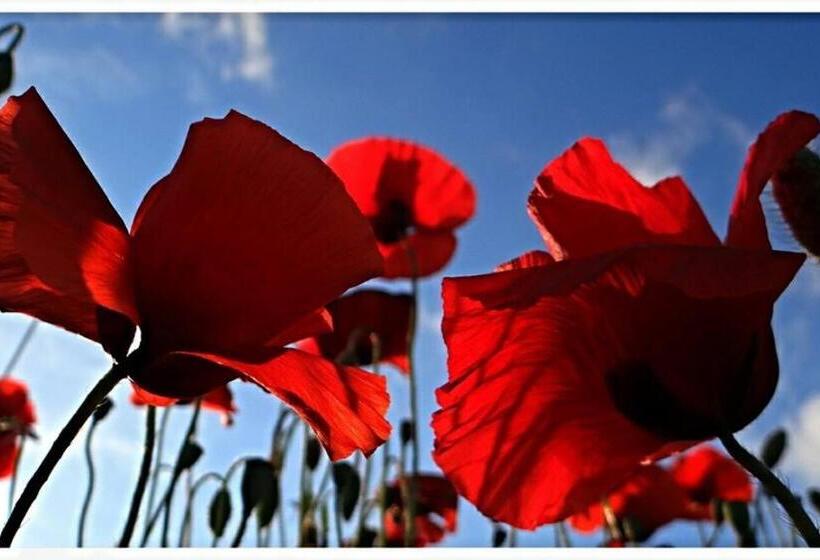 צימר Le Mas Des Armouriers