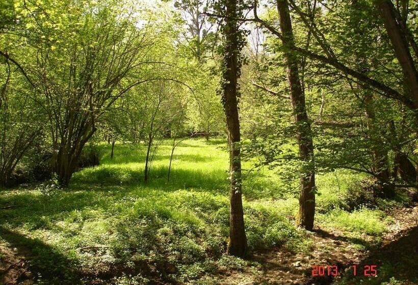 Bed and Breakfast Le Moulin De Monternault