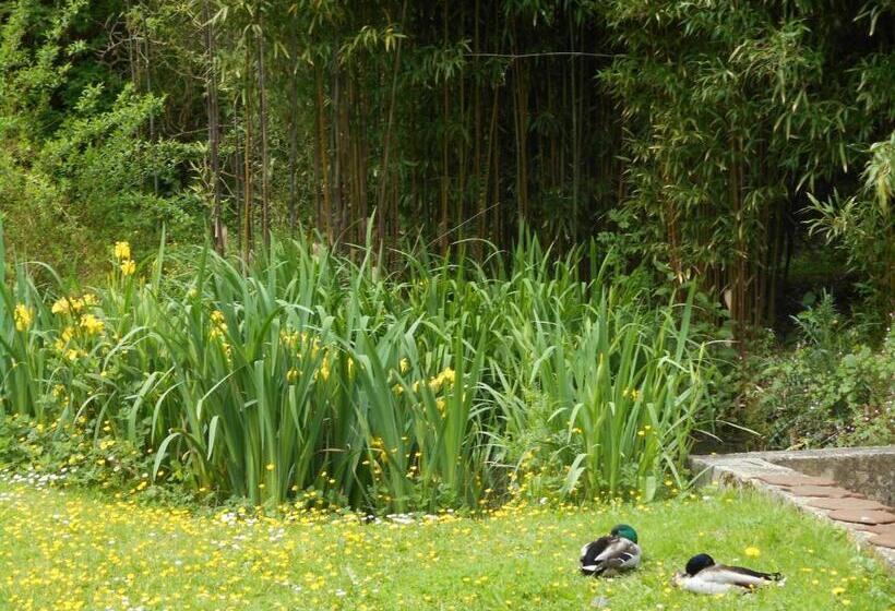 Bed and Breakfast Le Moulin De Monternault