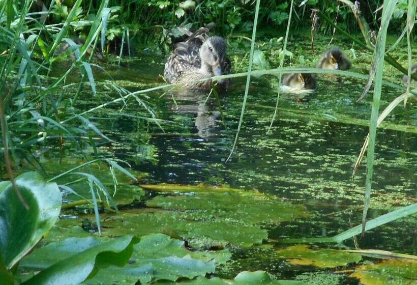 Bed and Breakfast Le Moulin De Monternault