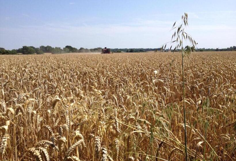 تختخواب و صبحانه Puttocks Farm