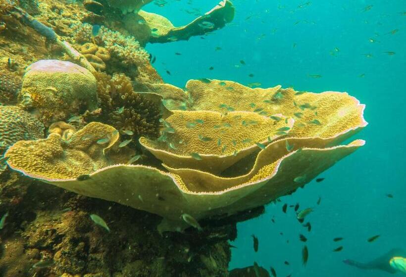 Bike And Tours Bed And Breakfast