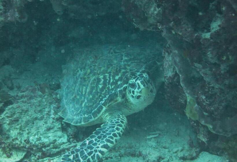 Bike And Tours Bed And Breakfast