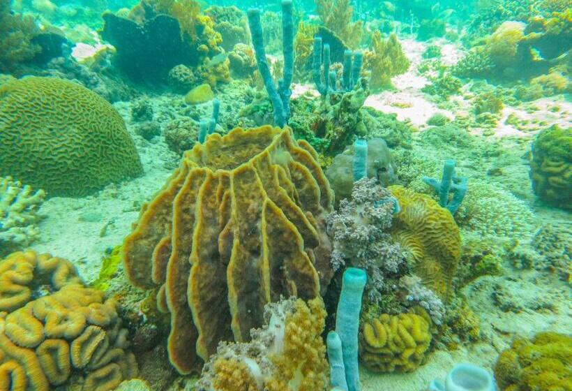 Bike And Tours Bed And Breakfast