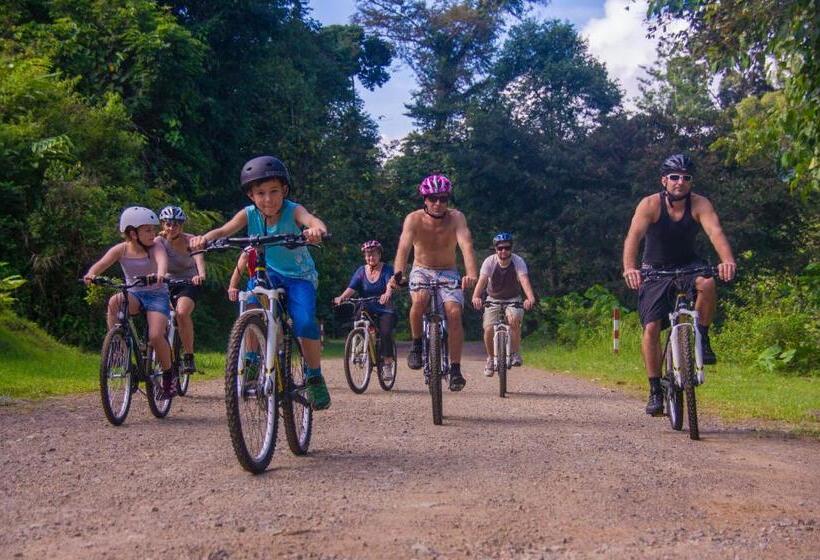 Bike And Tours Bed And Breakfast