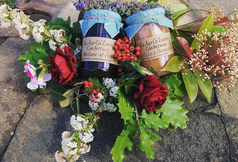 هتل Agriturismo Ca  Lucano