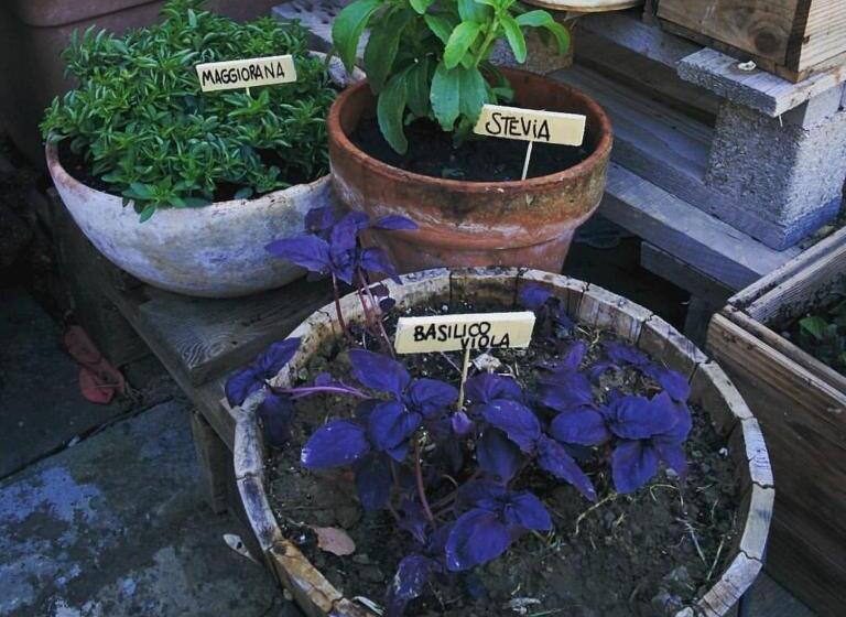 هتل Agriturismo Ca  Lucano