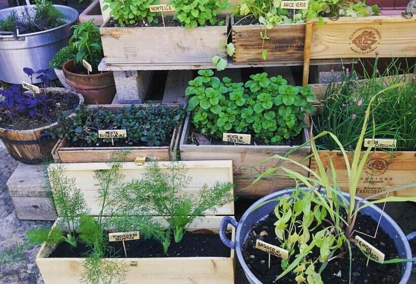 هتل Agriturismo Ca  Lucano