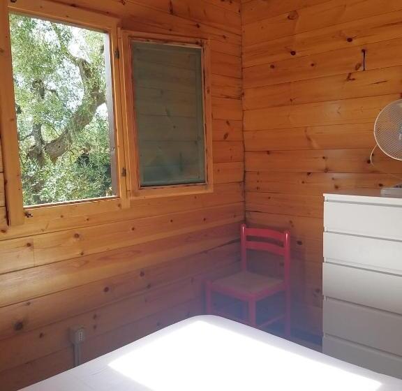 호텔 Agriturismo Della Torre