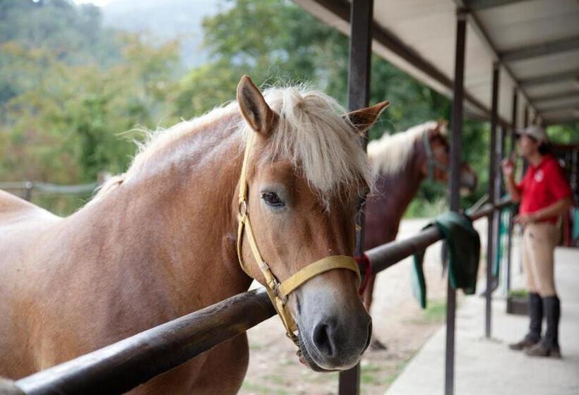 Отель Agriturismo Fattoria Il Ginepro