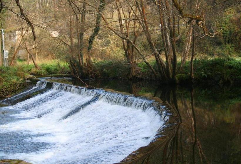 호텔 Amadora Admite Mascotas