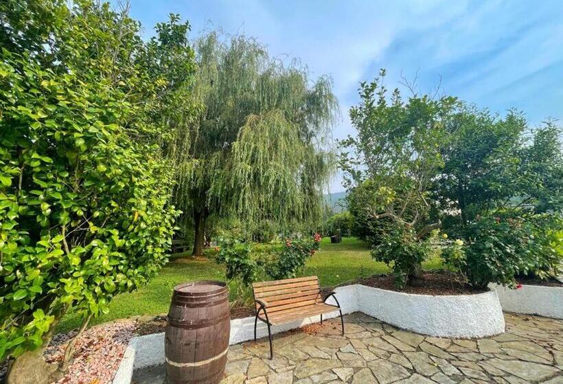 호텔 Amadora Admite Mascotas