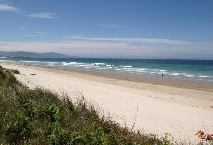 호텔 Amadora Admite Mascotas