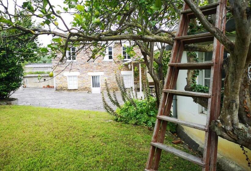 호텔 Amadora Admite Mascotas