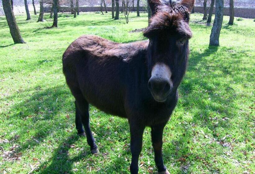 Отель B&b Masseria Spilafemine