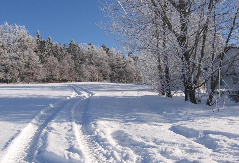 Отель Gästehaus Grünberger