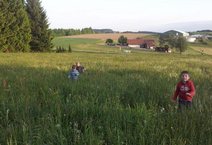 Отель Gästehaus Grünberger